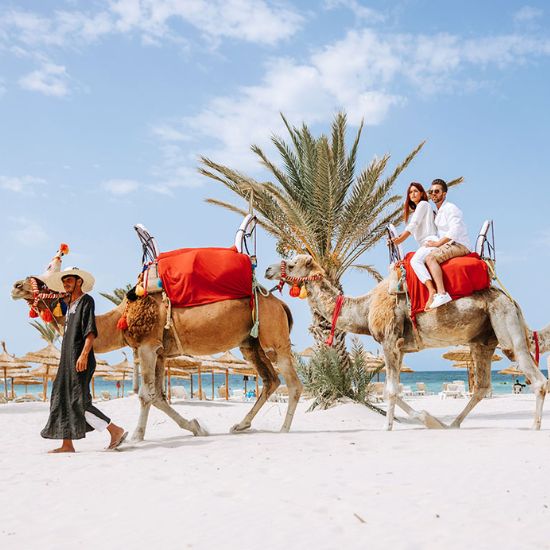 Maison à vendre à Djerba : Guide complet pour trouver la propriété idéale